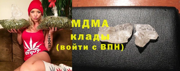 стаф Тайга